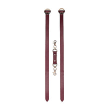 אזיקי ירכיים